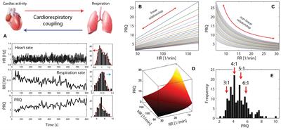 The Pulse-Respiration Quotient: A Powerful but Untapped Parameter for Modern Studies About Human Physiology and Pathophysiology